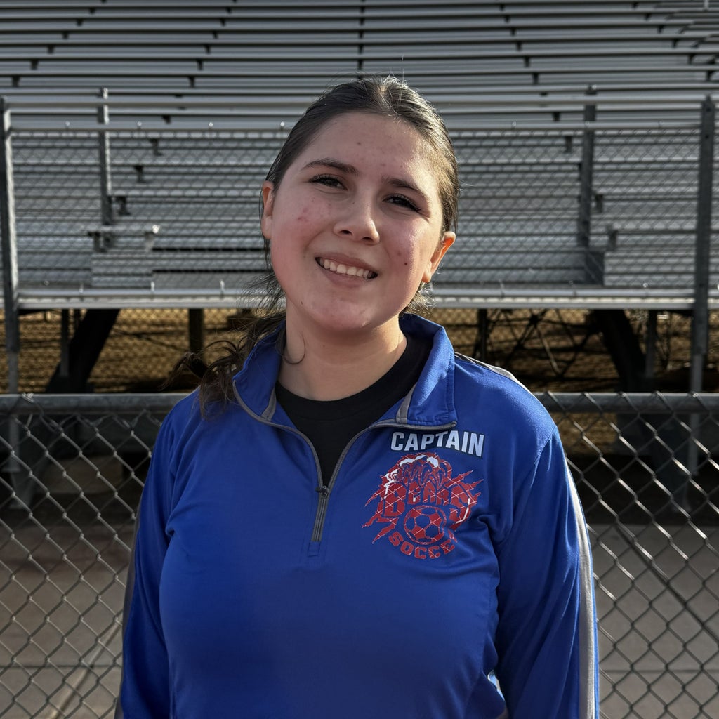 Donna Hansen mugshot