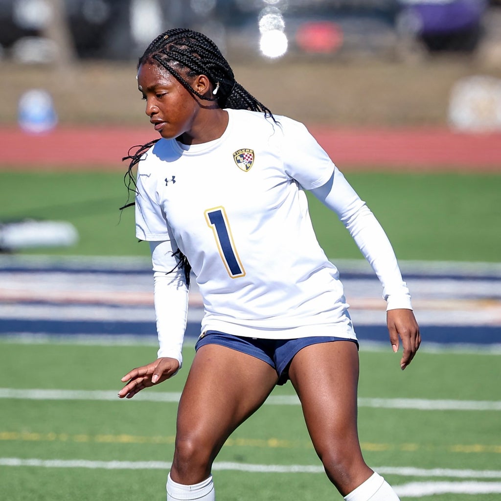 Kaamil Ajibola mugshot