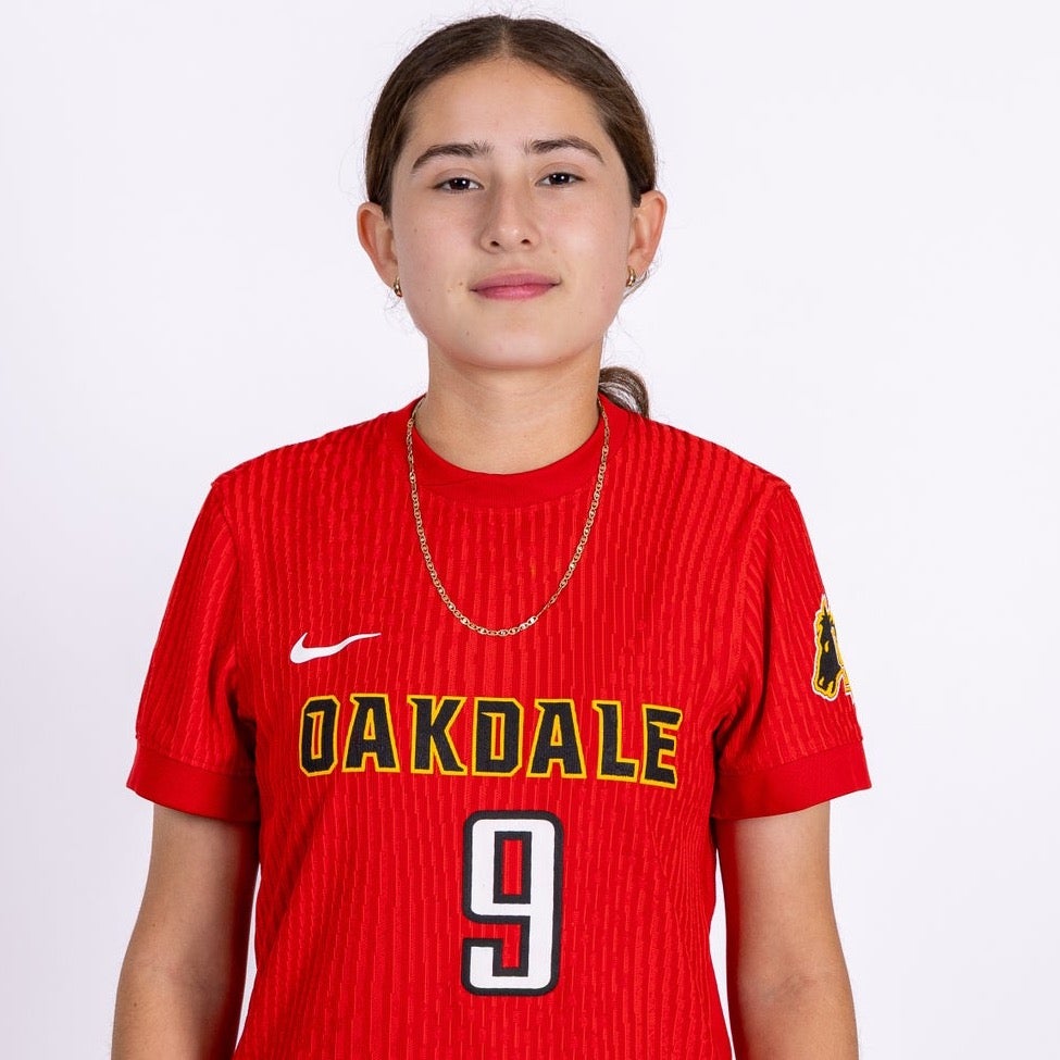 Vanessa Lares mugshot