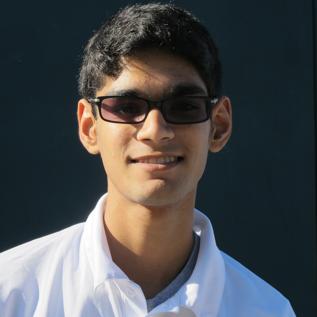 Avnish Dighe mugshot