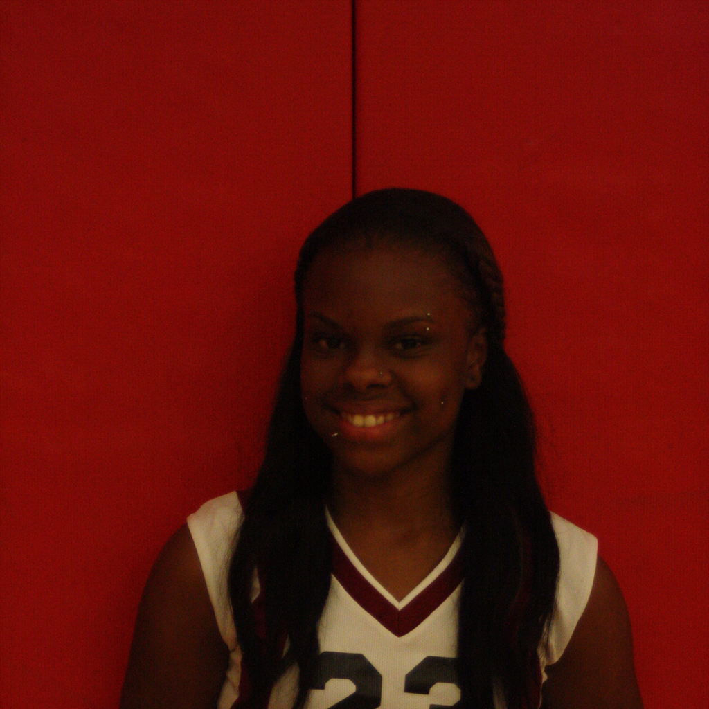 Johnnesha Wilson mugshot