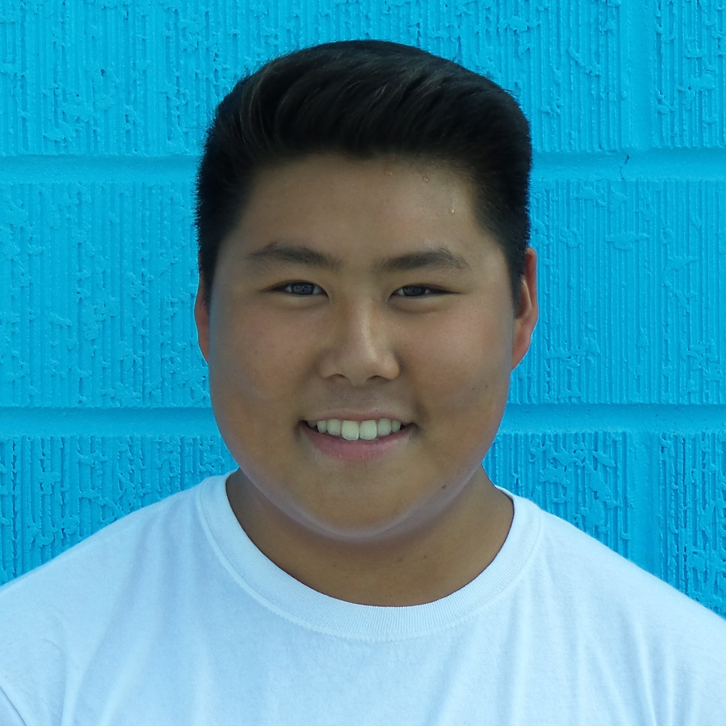 Renzo Sy mugshot