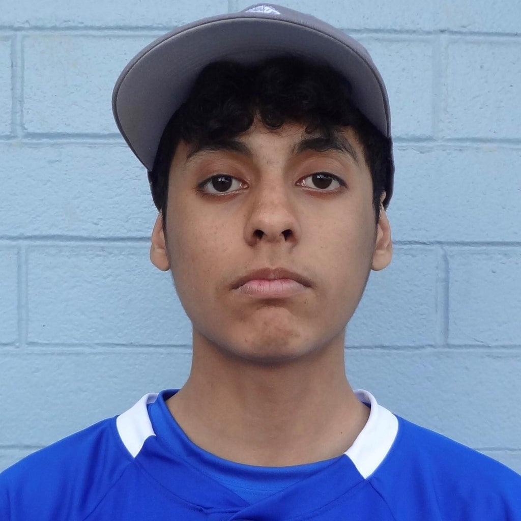 ALBIERI BARDALES mugshot