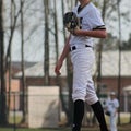 C. Bridges