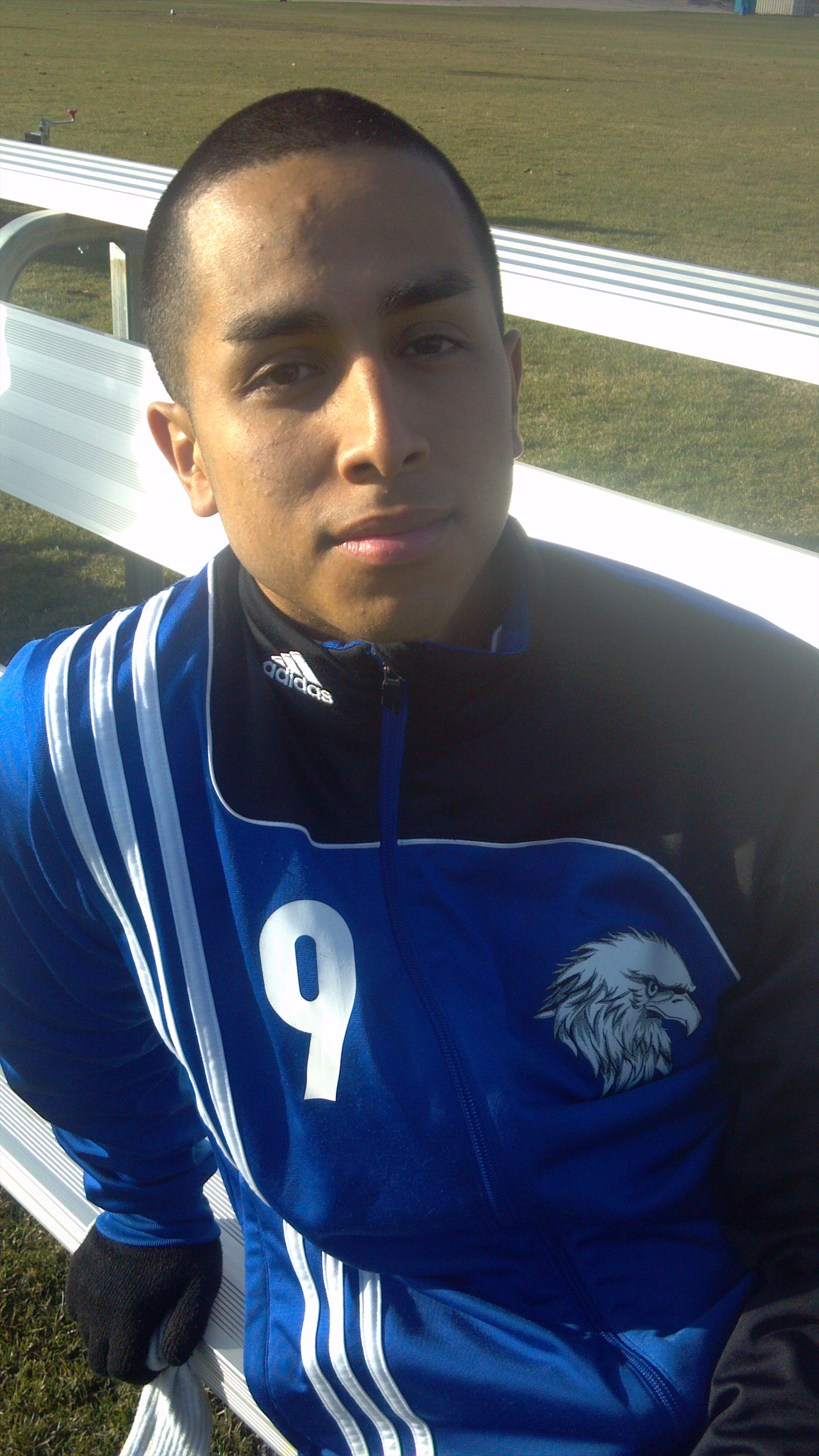 David Aviles