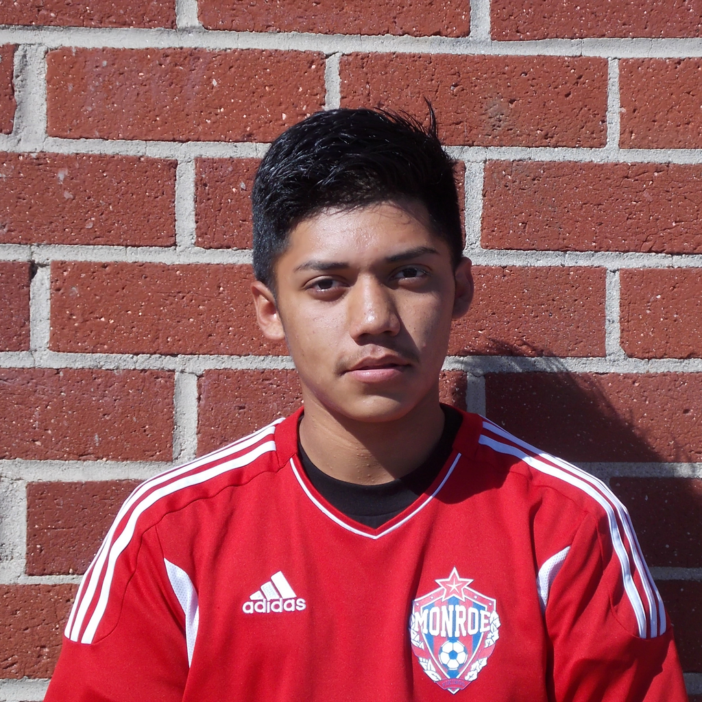 NESTOR TORRES mugshot