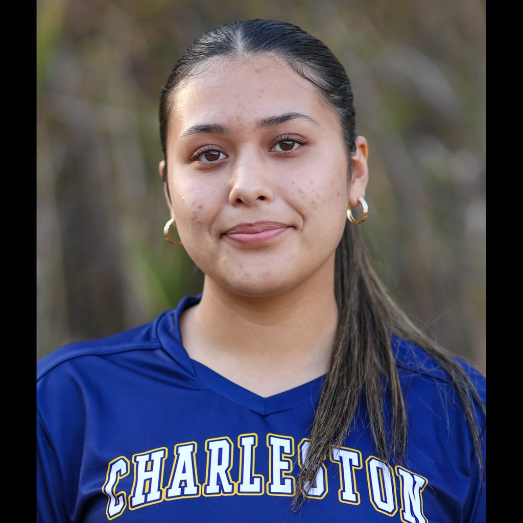 Julie Salcedo mugshot