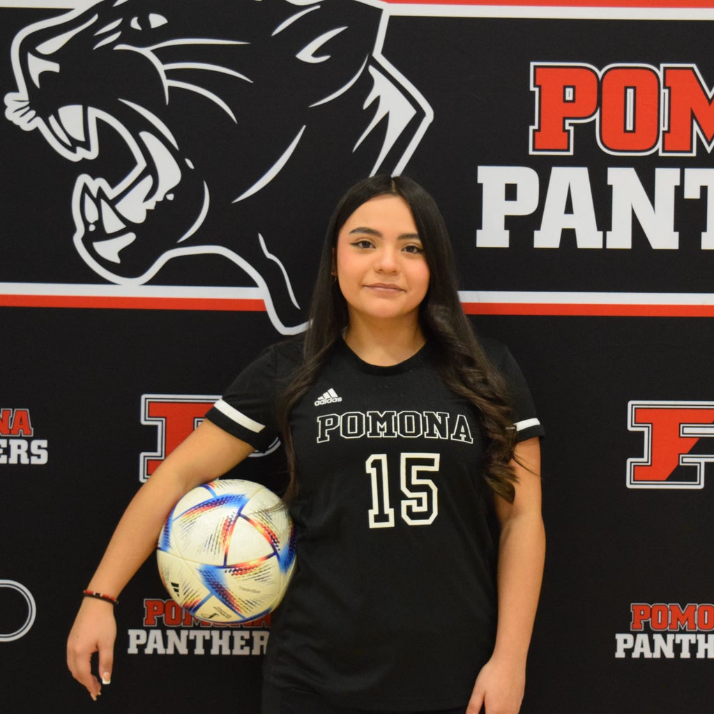 BRIHANNA VARGAS mugshot