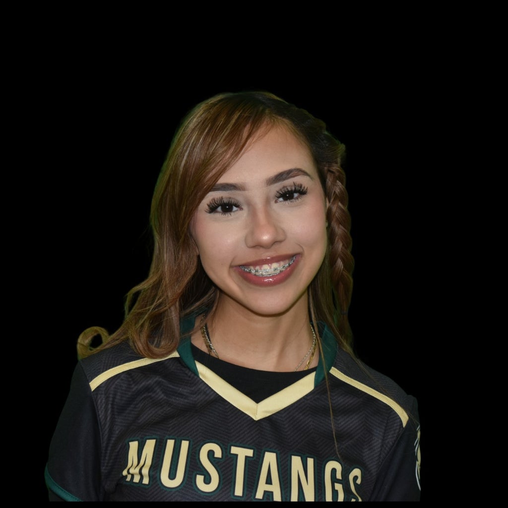 Georjina Baires mugshot
