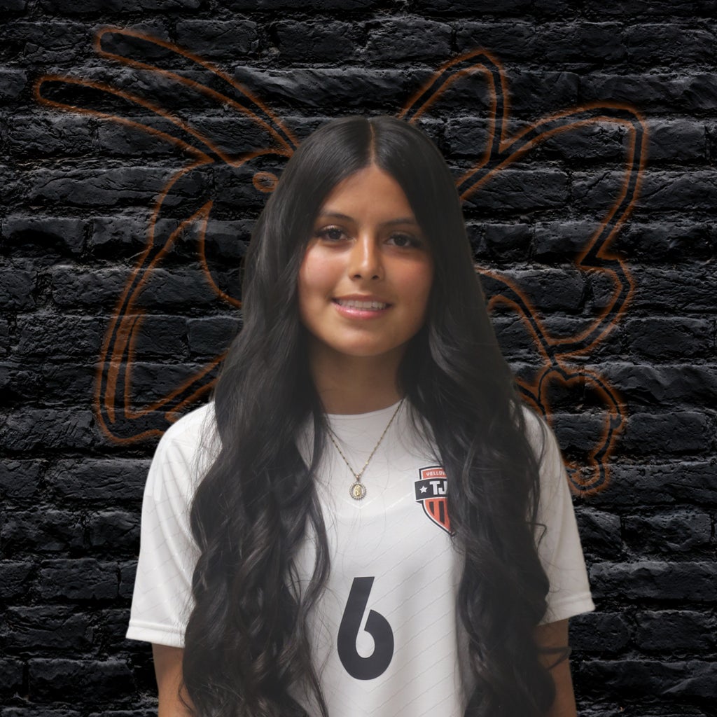 Vannessa Ramirez mugshot