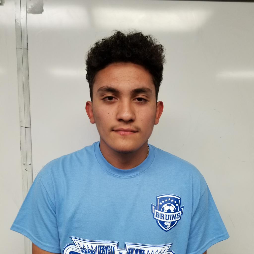 Jan Picaso mugshot