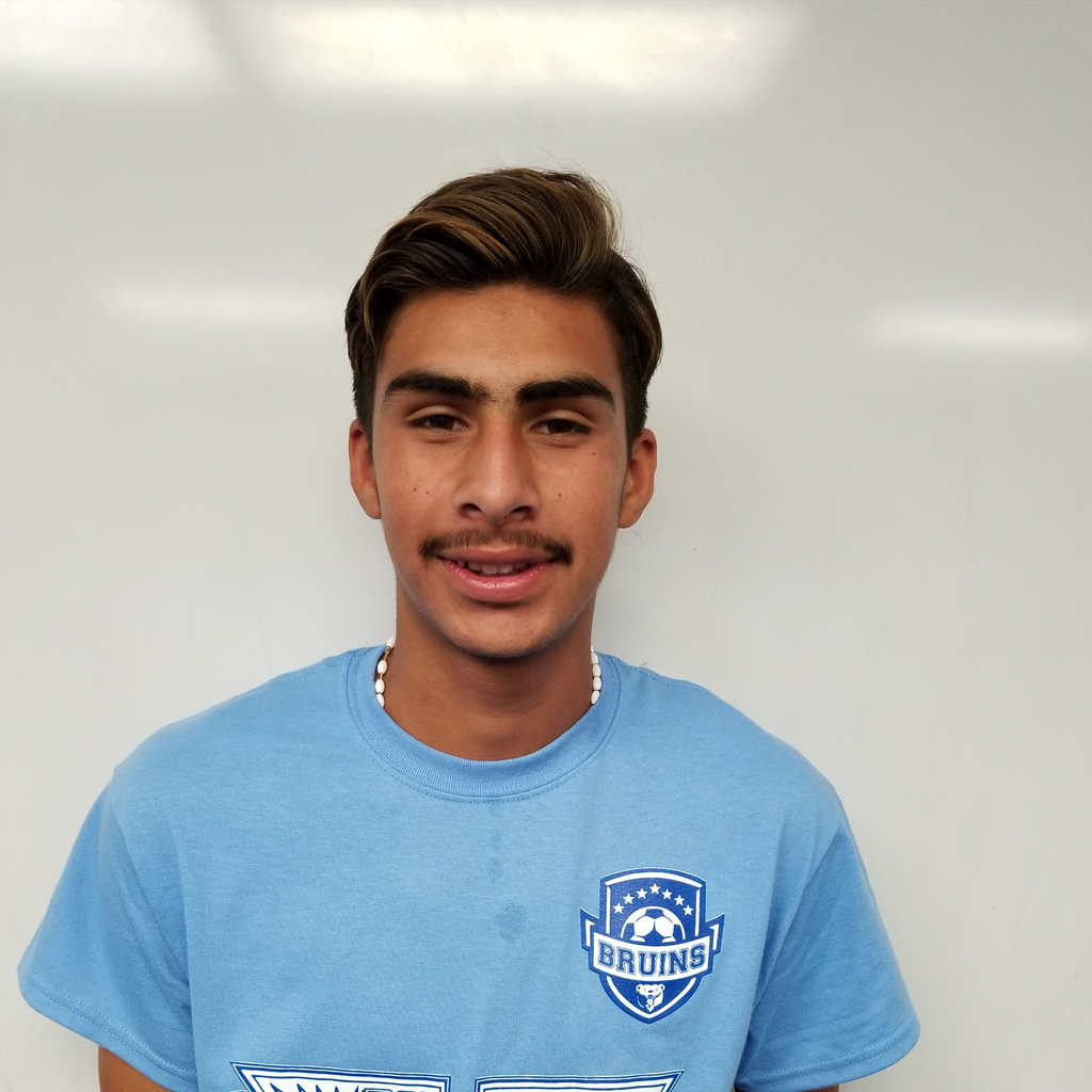 Auner Castillo mugshot