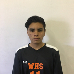 Vince Guerrero mugshot