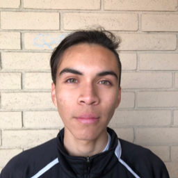 Joshua Salinas