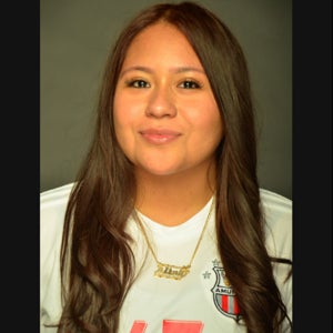 Alina Brito mugshot