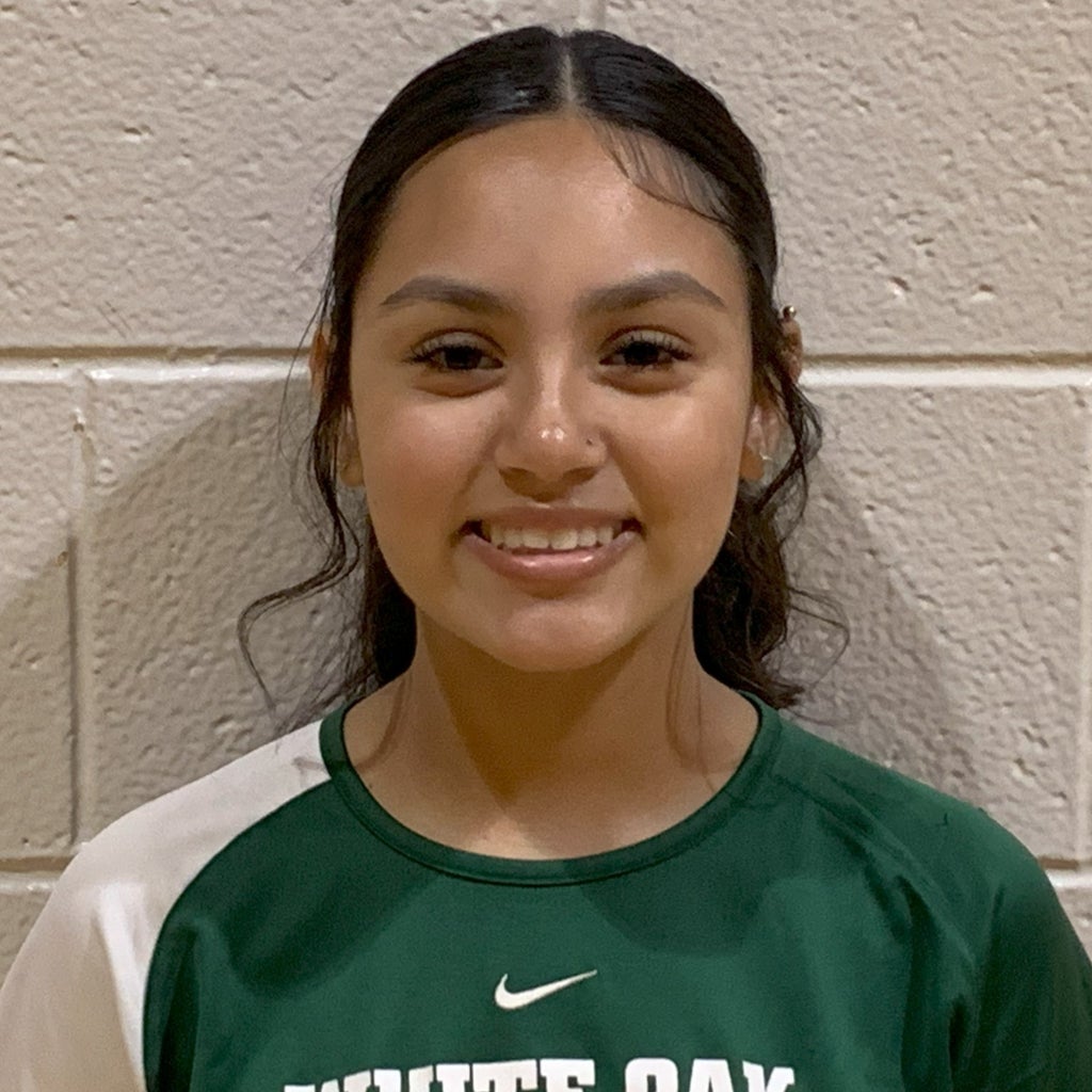 Alyssa Sanchez mugshot