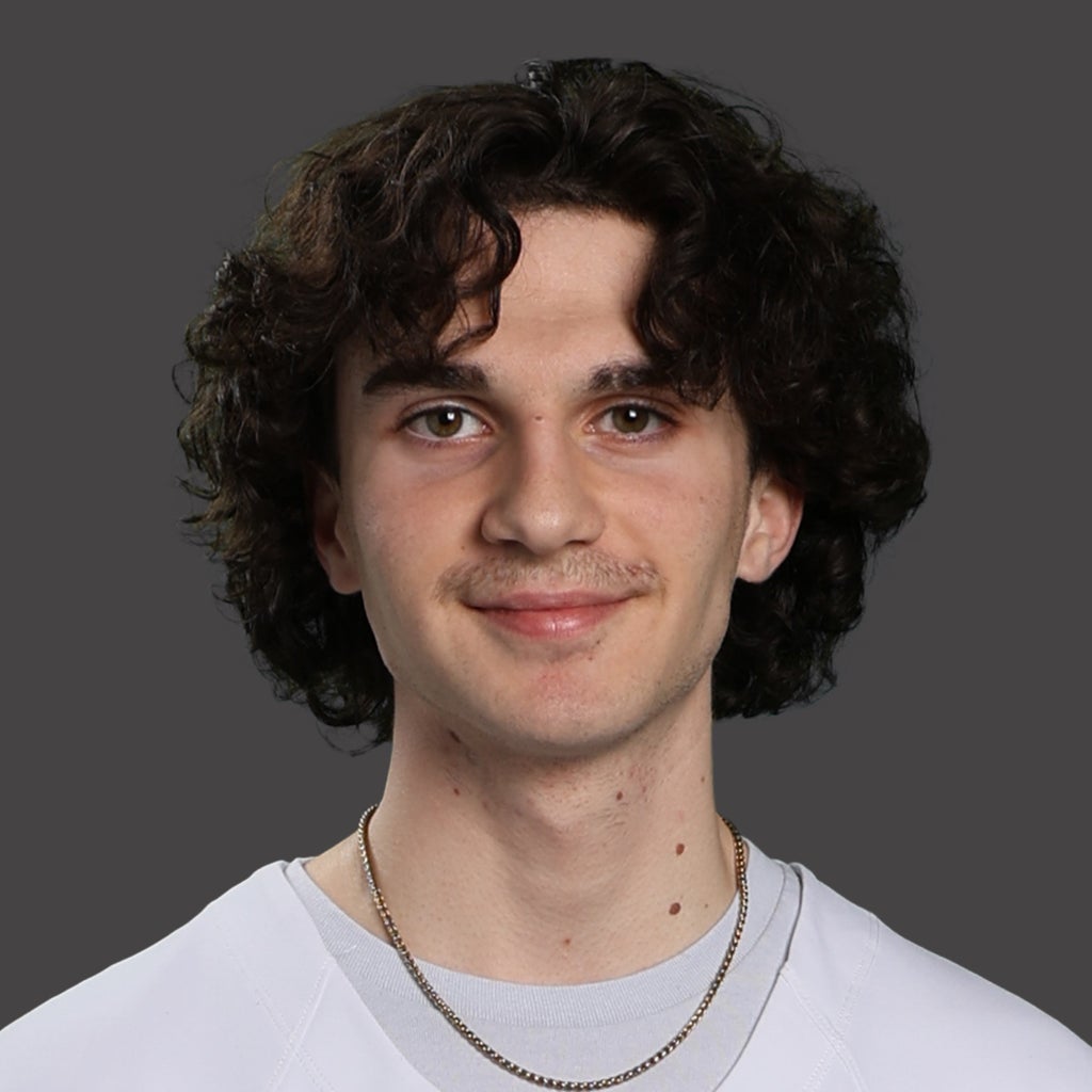 Ari Varias mugshot