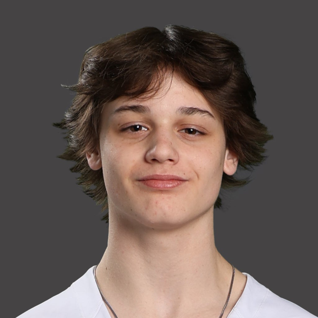 Drew Viens mugshot