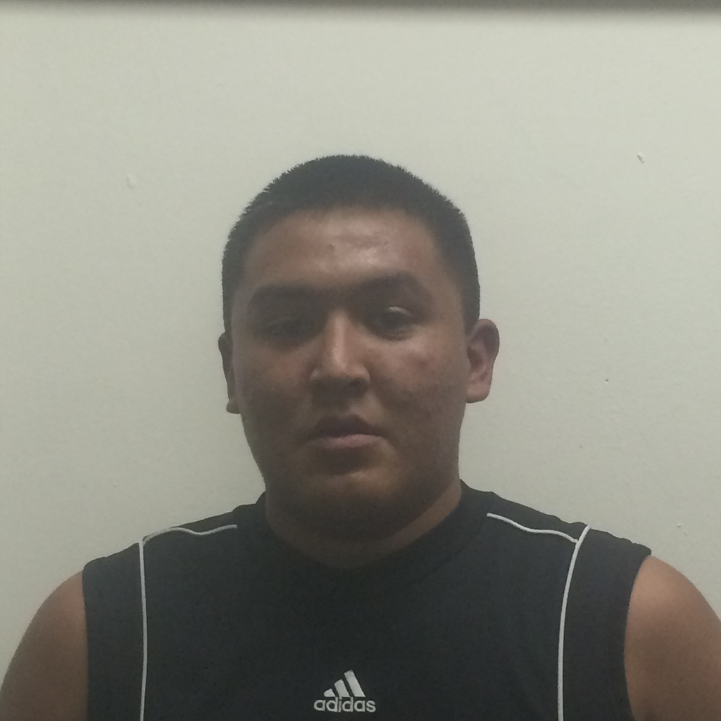 Josh Towne mugshot