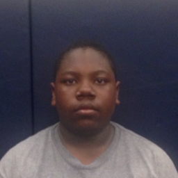 Tamaine Green mugshot