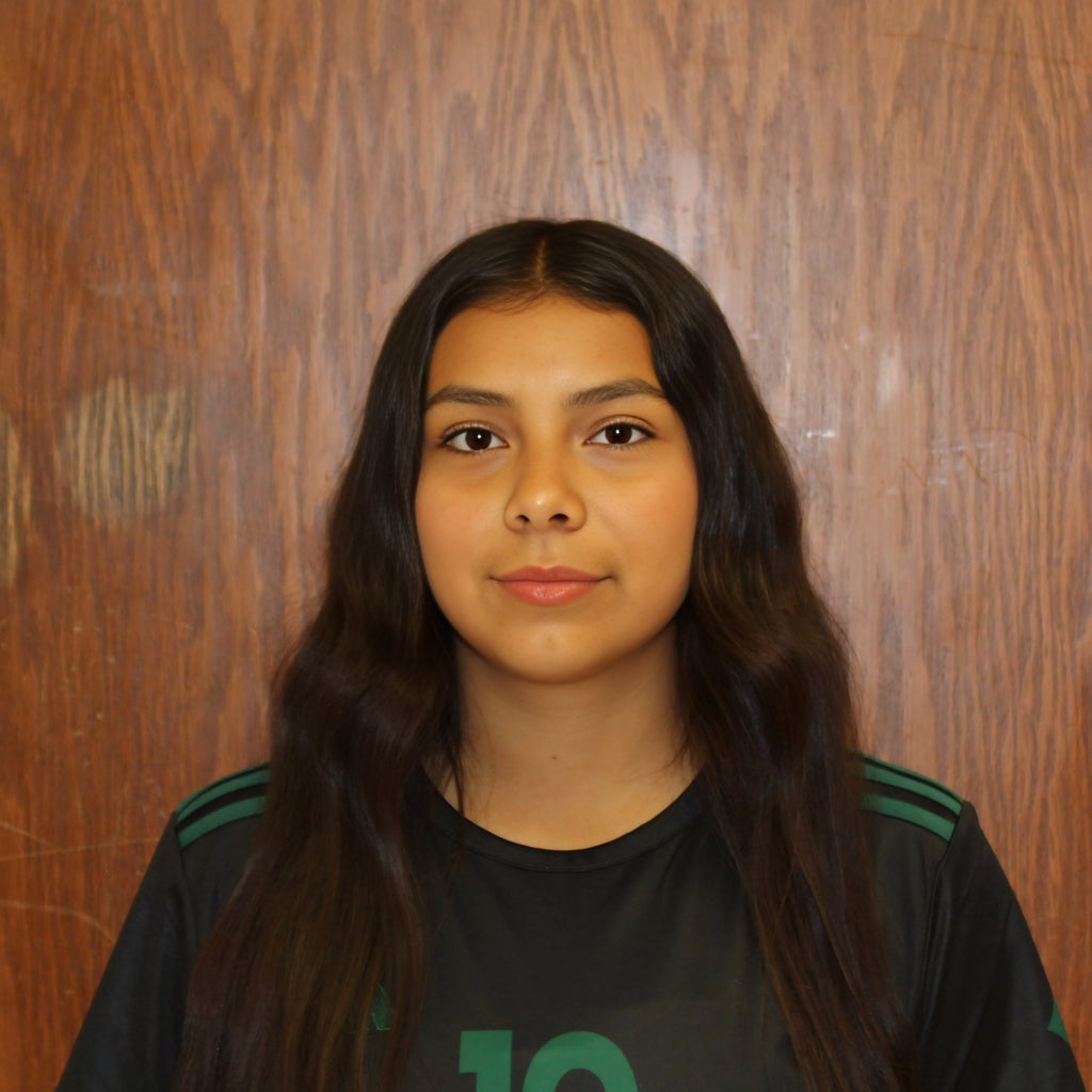 Leslie Santos mugshot