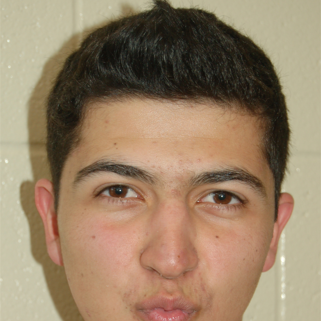 Adli Ahram mugshot