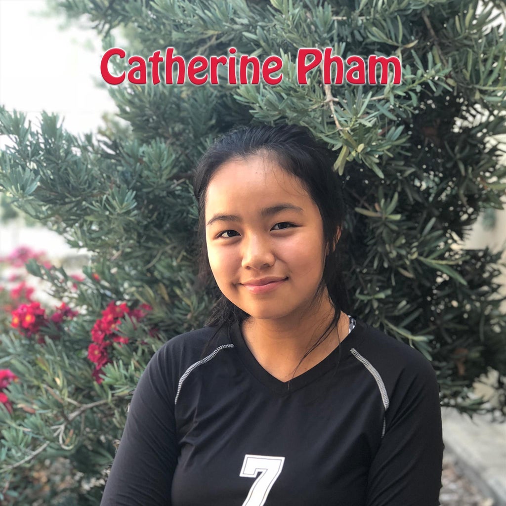 CATHERINE PHAM mugshot