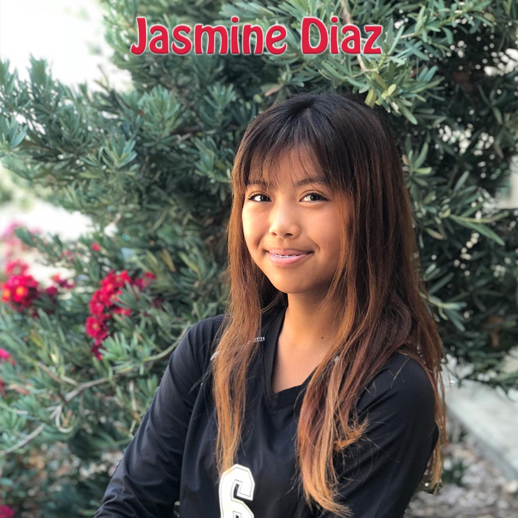 JASMINE DIAZ mugshot