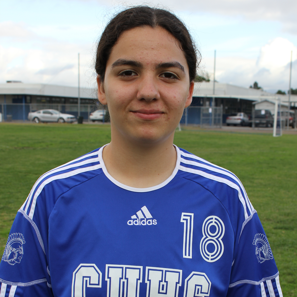 Alondra Tellez mugshot