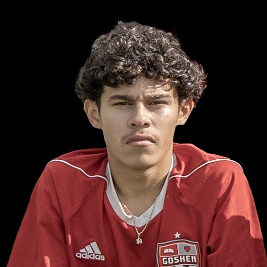 Andy Guzman mugshot