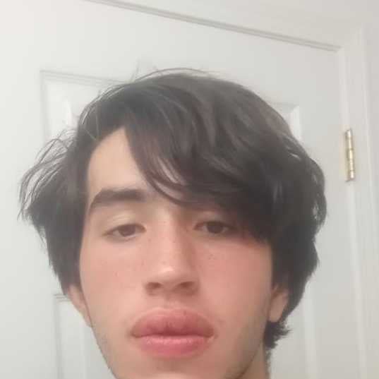 Hector Luis Zea Kislinger mugshot