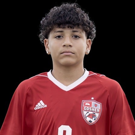 Chino Torres mugshot