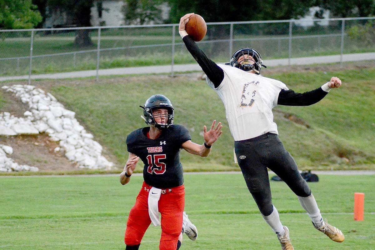 Gavin Sparks mugshot