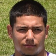 Mijail Gomez jr. mugshot