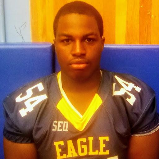 Emmanuel Akinrimisi mugshot