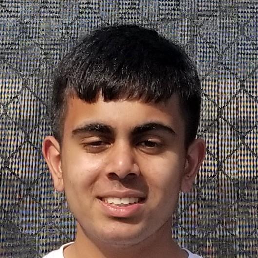 Raj Shah mugshot