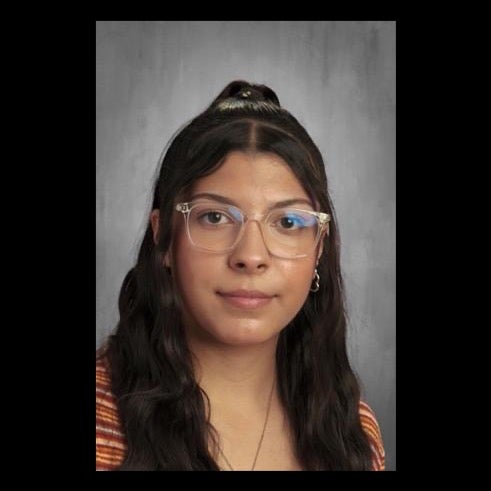 Jaqueline Figueroa mugshot