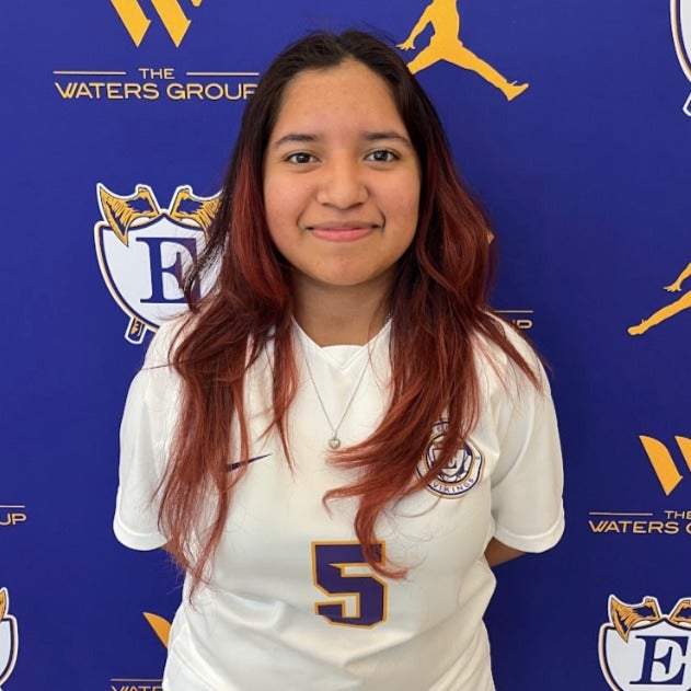 Mitzy Guzman Ibarra mugshot