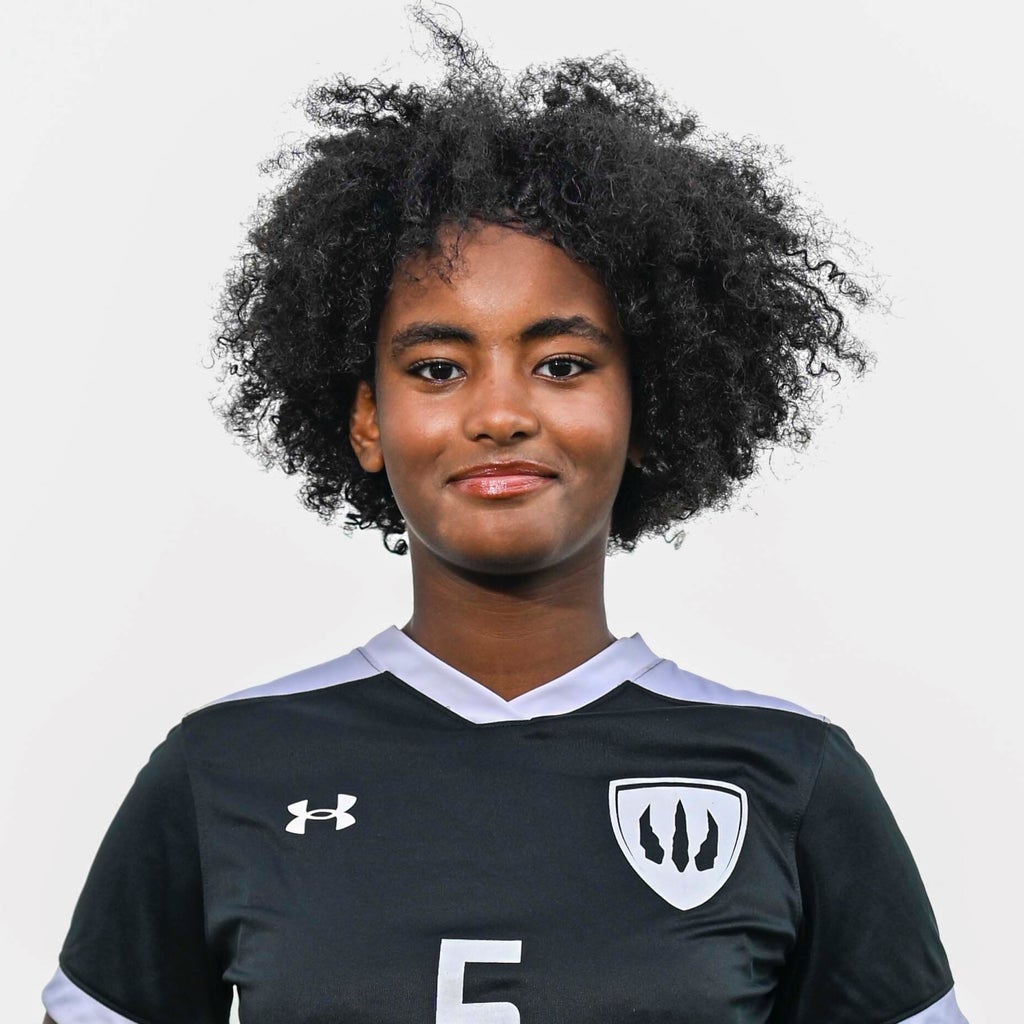 Ermishe Handiso mugshot
