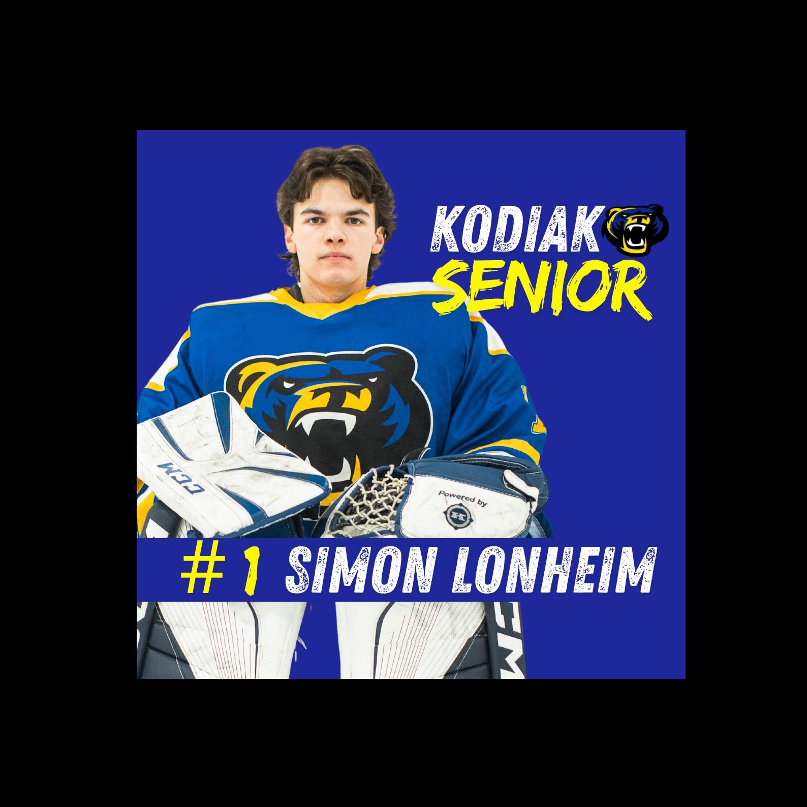 Simon Lonheim mugshot