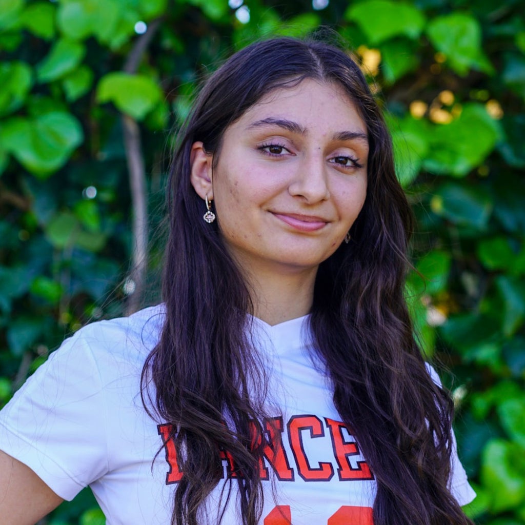 Emily Aleksanyan  mugshot