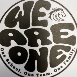 Addison Ortiz mugshot