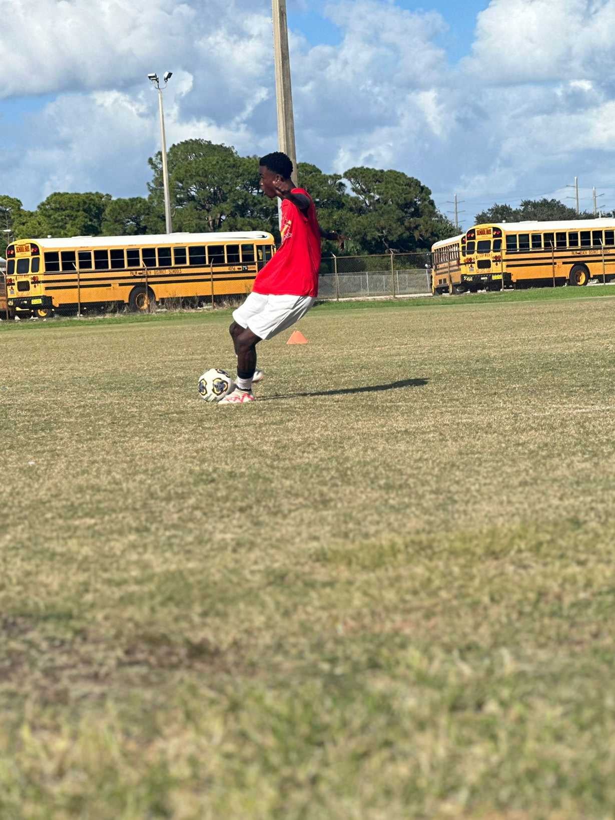 Fabrice Alexis Berny