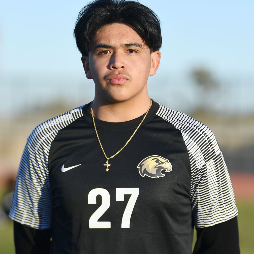 Mathew Montenegro Castro mugshot