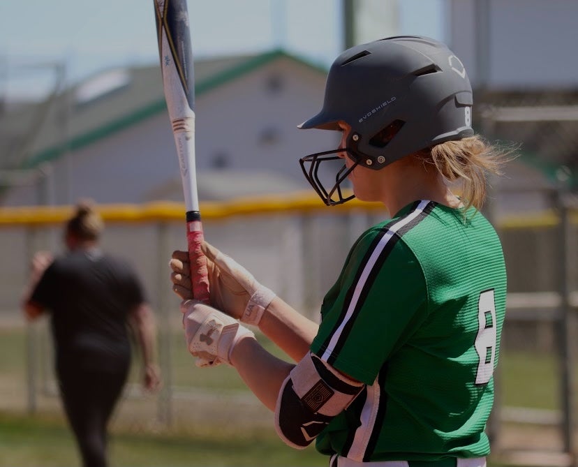 Lydia  Bergman mugshot