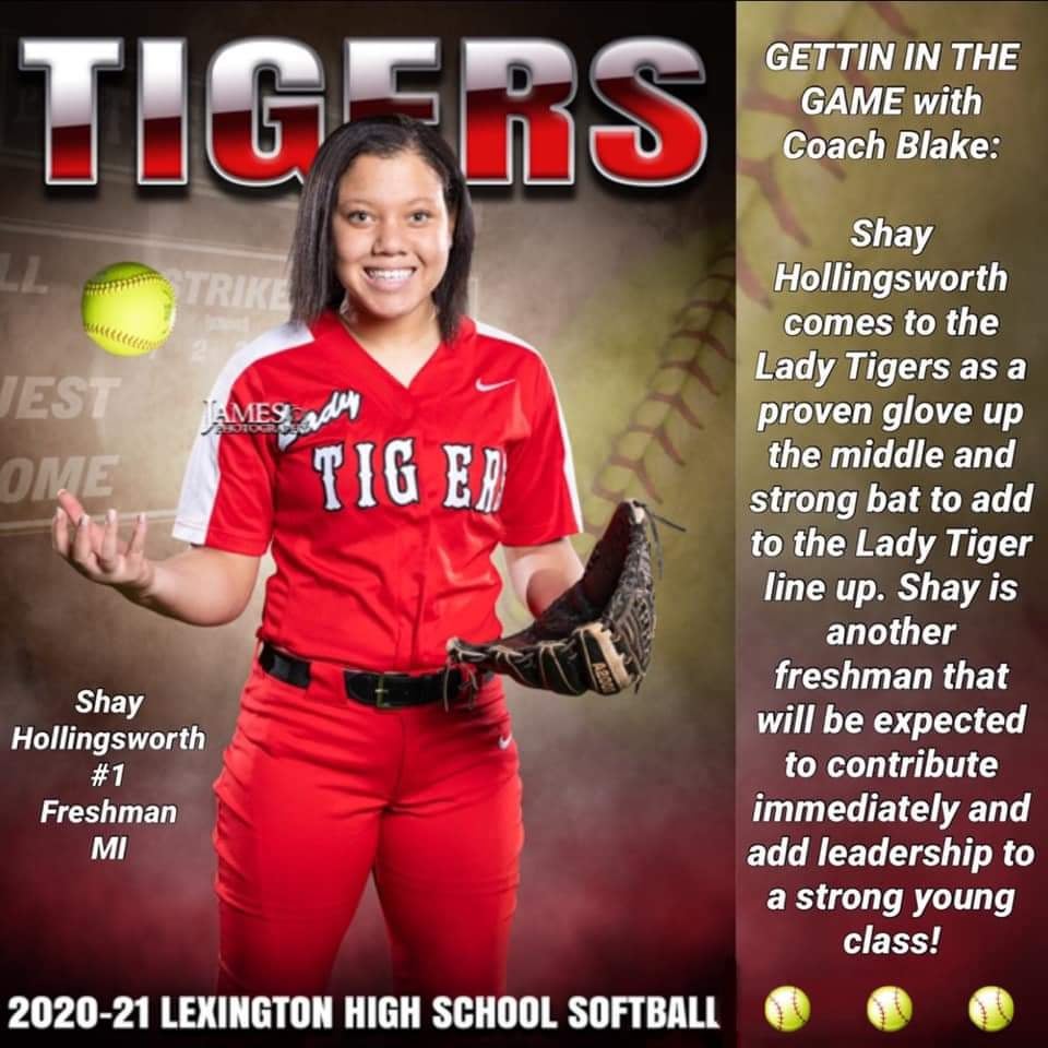 Shay Hollingsworth mugshot
