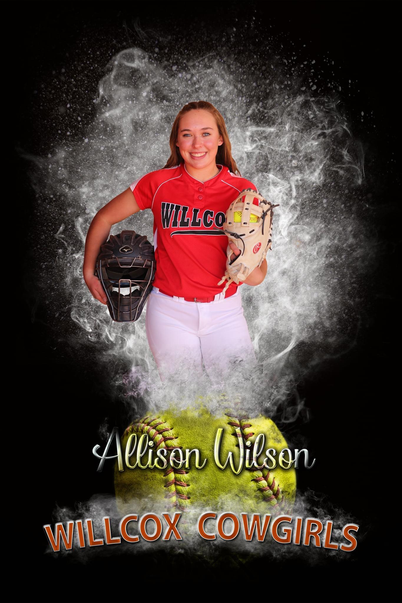 Allison Wilson mugshot
