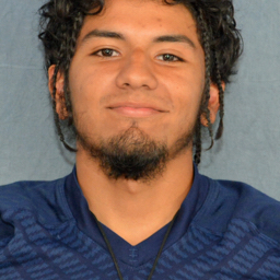 Damian Triana mugshot