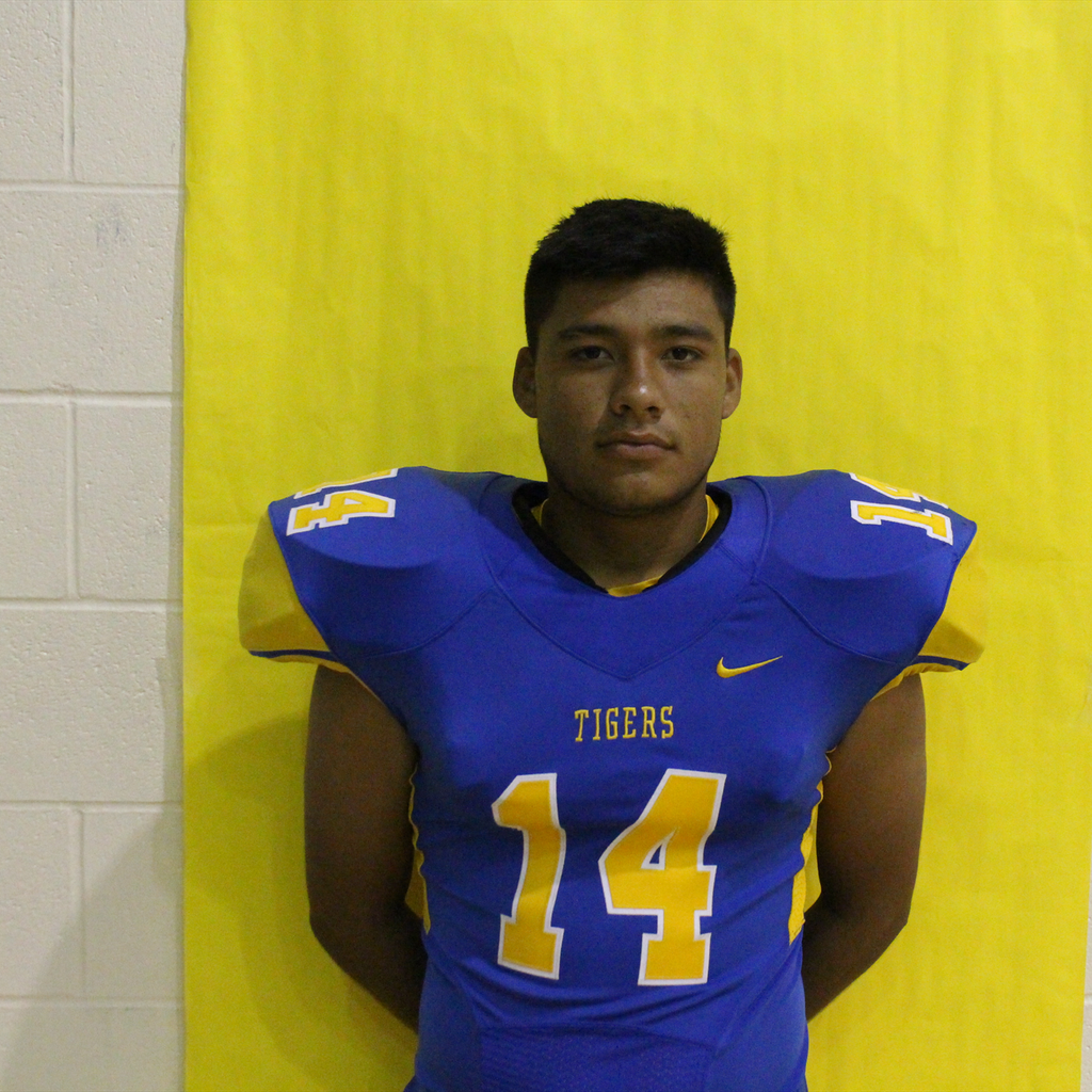 Mario Elizondo mugshot