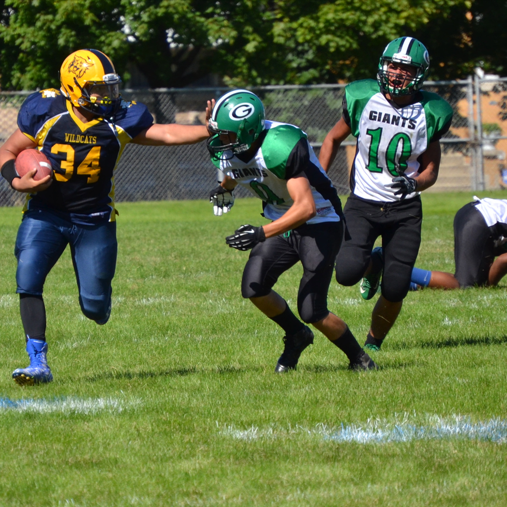 Reggie Young iii mugshot